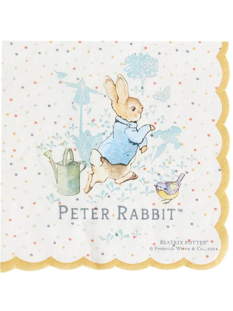 Peter Rabbit Classic Tableware Party Napkins x16 Dress Loud