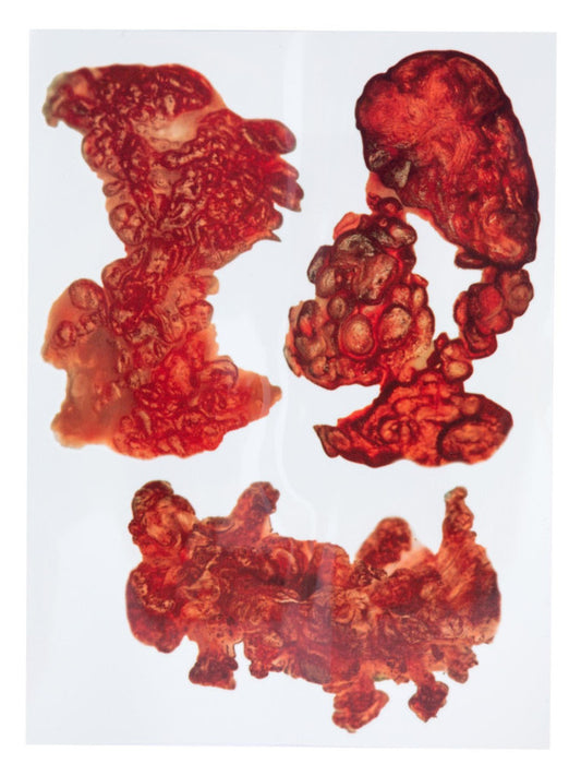 Smiffys Make-Up FX, Burnt Skin Tattoo Transfers