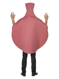 Whoopie Cushion Costume, Pink Dress Loud