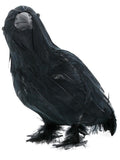 Crow, Black Dress Loud