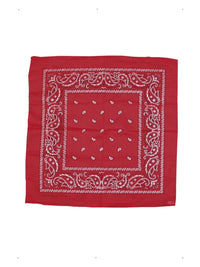Cowboy Bandana, Red Dress Loud