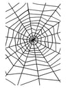Spider & Spiders Web, Black