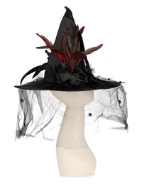 Witch Hat, Feathers & Netting, Black Dress Loud