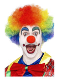 Crazy Clown Wig, Rainbow Dress Loud