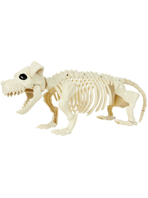 Dog Skeleton Prop, Natural Dress Loud