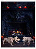 Dog Skeleton Prop, Natural Dress Loud