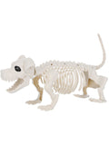 Dog Skeleton Prop, Natural Dress Loud