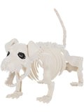Dog Skeleton Prop, Natural Dress Loud