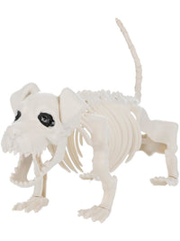 Dog Skeleton Prop, Natural Dress Loud