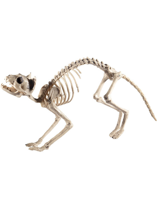 Cat Skeleton Prop, Natural Dress Loud