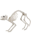 Cat Skeleton Prop, Natural Dress Loud