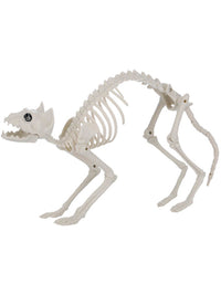 Cat Skeleton Prop, Natural Dress Loud