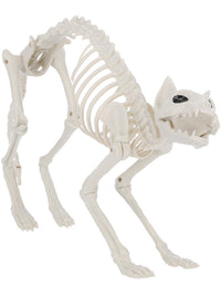 Cat Skeleton Prop, Natural Dress Loud