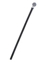 Extendable All Seeing Eye Cane