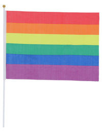 Hand Held Rainbow Flags, 45x30cm, 12Pk Dress Loud