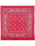 Cowboy Bandana, Hot Pink Dress Loud