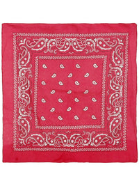 Cowboy Bandana, Hot Pink Dress Loud