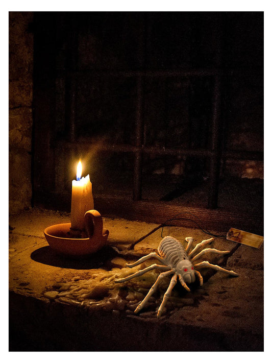 Light Up Spider Prop