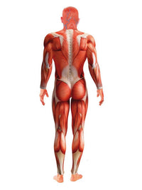 Anatomy Man Costume, Red Dress Loud