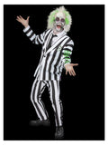Beetlejuice Costume Dress Loud
