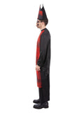 Cardinal Sin Costume Dress Loud