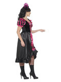 Curves Sassy Saloon Costume, Pink Dress Loud