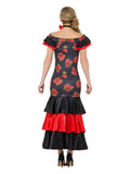 Flamenco Lady Costume, Black & Red Dress Loud