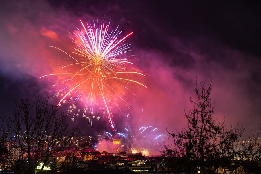 Edinburgh's Christmas