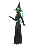 Witch Costume, Black Dress Loud