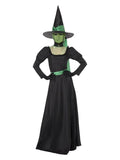 Witch Costume, Black Dress Loud