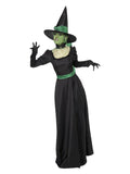 Witch Costume, Black Dress Loud